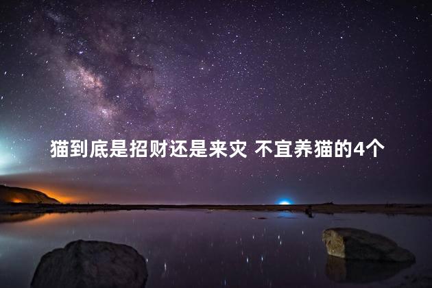 猫到底是招财还是来灾 不宜养猫的4个属相